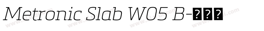 Metronic Slab W05 B字体转换